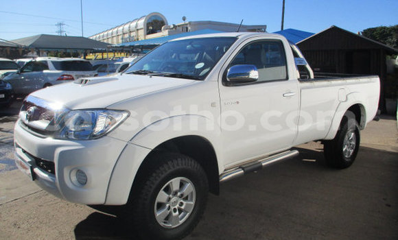 اشتري مستعمل Toyota Hilux White سيارة في Maputsoa في Leribe اشتري مستعمل Toyota Hilux White سيارة في Maputsoa في Leribe