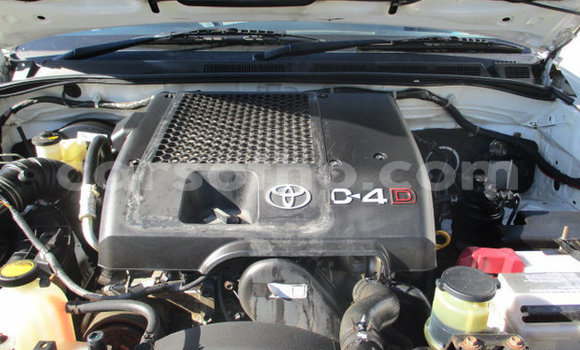 اشتري مستعمل Toyota Hilux White سيارة في Maputsoa في Leribe اشتري مستعمل Toyota Hilux White سيارة في Maputsoa في Leribe