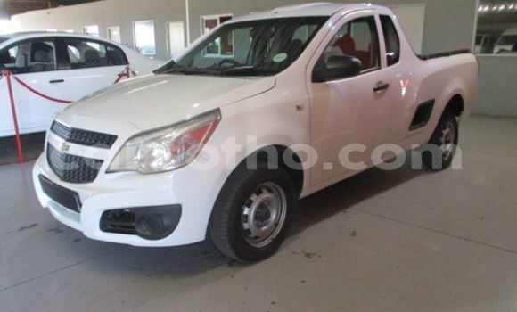 اشتري مستعمل Chevrolet Corsa White سيارة في Maputsoa في Leribe اشتري مستعمل Chevrolet Corsa White سيارة في Maputsoa في Leribe