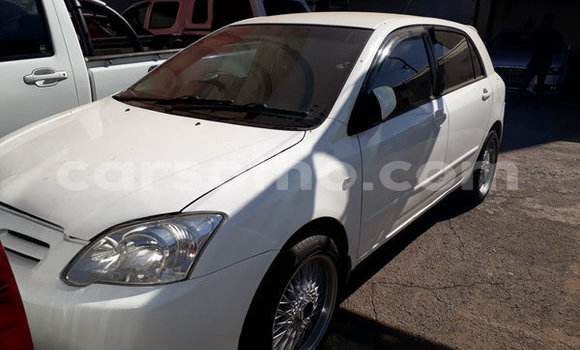 اشتري مستعمل Toyota Runx White سيارة في Maputsoe في Leribe اشتري مستعمل Toyota Runx White سيارة في Maputsoe في Leribe