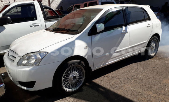 اشتري مستعمل Toyota Runx White سيارة في Maputsoe في Leribe اشتري مستعمل Toyota Runx White سيارة في Maputsoe في Leribe