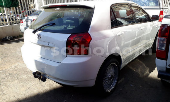اشتري مستعمل Toyota Runx White سيارة في Maputsoe في Leribe اشتري مستعمل Toyota Runx White سيارة في Maputsoe في Leribe