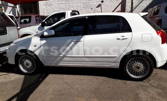 اشتري مستعمل Toyota Runx White سيارة في Maputsoe في Leribe اشتري مستعمل Toyota Runx White سيارة في Maputsoe في Leribe