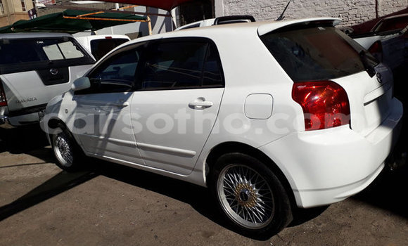 اشتري مستعمل Toyota Runx White سيارة في Maputsoe في Leribe اشتري مستعمل Toyota Runx White سيارة في Maputsoe في Leribe