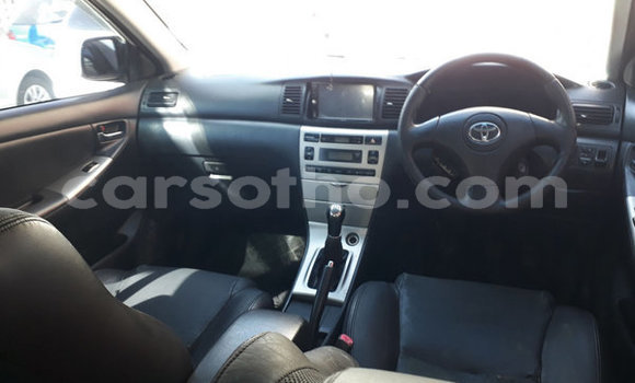 اشتري مستعمل Toyota Runx White سيارة في Maputsoe في Leribe اشتري مستعمل Toyota Runx White سيارة في Maputsoe في Leribe