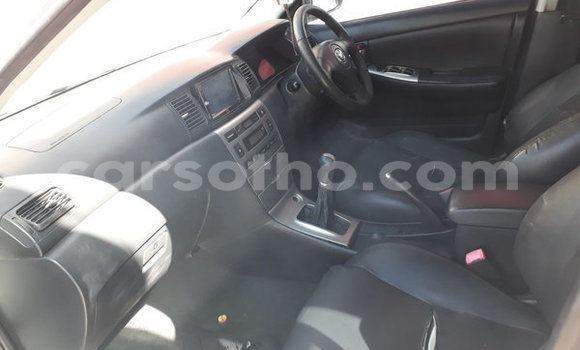 اشتري مستعمل Toyota Runx White سيارة في Maputsoe في Leribe اشتري مستعمل Toyota Runx White سيارة في Maputsoe في Leribe