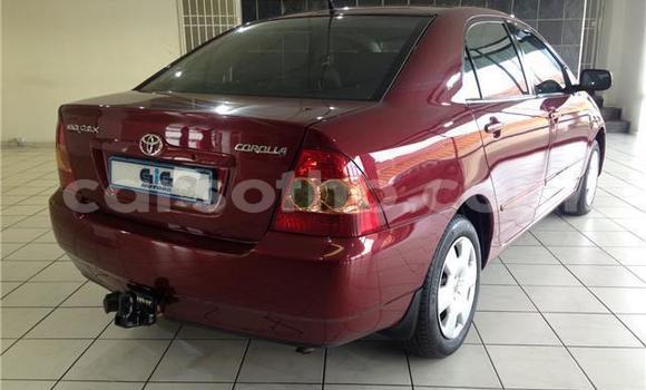اشتري مستعمل Toyota Corolla Other سيارة في Maseru في Maseru اشتري مستعمل Toyota Corolla Other سيارة في Maseru في Maseru