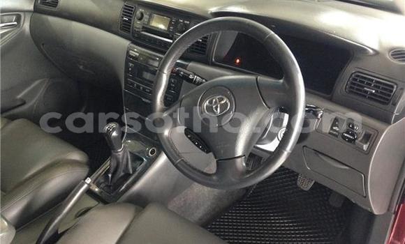 اشتري مستعمل Toyota Corolla Other سيارة في Maseru في Maseru اشتري مستعمل Toyota Corolla Other سيارة في Maseru في Maseru