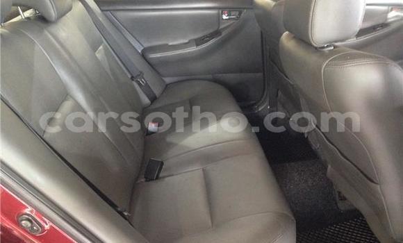 اشتري مستعمل Toyota Corolla Other سيارة في Maseru في Maseru اشتري مستعمل Toyota Corolla Other سيارة في Maseru في Maseru