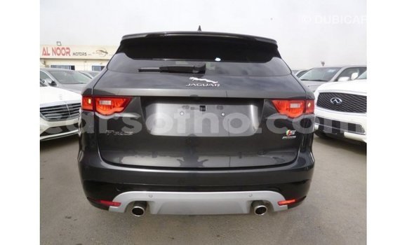 اشتري Imported Jaguar F-Type Black سيارة في Import - Dubai في Maseru اشتري Imported Jaguar F-Type Black سيارة في Import - Dubai في Maseru
