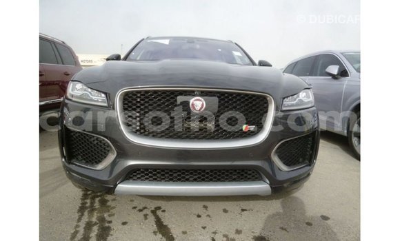اشتري Imported Jaguar F-Type Black سيارة في Import - Dubai في Maseru اشتري Imported Jaguar F-Type Black سيارة في Import - Dubai في Maseru