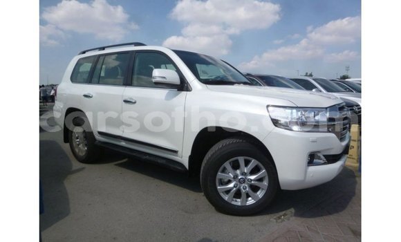 اشتري Imported Toyota Land Cruiser White سيارة في Import - Dubai في Maseru اشتري Imported Toyota Land Cruiser White سيارة في Import - Dubai في Maseru