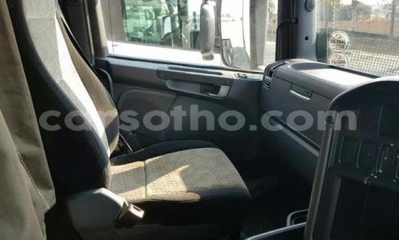 اشتري مستعمل Scania R420 White شاحنة في Hlotse في Leribe اشتري مستعمل Scania R420 White شاحنة في Hlotse في Leribe