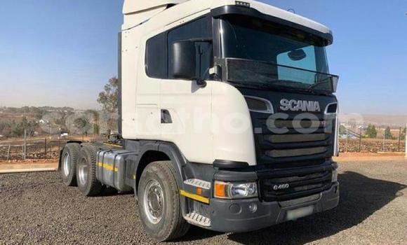 اشتري مستعمل Scania R420 White شاحنة في Hlotse في Leribe اشتري مستعمل Scania R420 White شاحنة في Hlotse في Leribe
