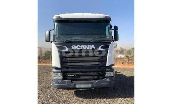 اشتري مستعمل Scania R420 White شاحنة في Hlotse في Leribe اشتري مستعمل Scania R420 White شاحنة في Hlotse في Leribe