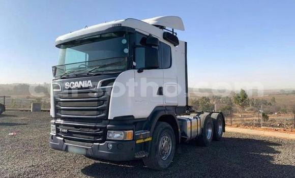 اشتري مستعمل Scania R420 White شاحنة في Hlotse في Leribe اشتري مستعمل Scania R420 White شاحنة في Hlotse في Leribe