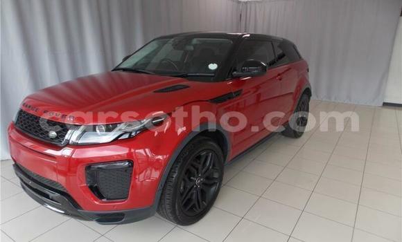 Acheter Occasion Voiture Land Rover Range Rover Evoque Autre à Maseru, Maseru Acheter Occasion Voiture Land Rover Range Rover Evoque Autre à Maseru, Maseru