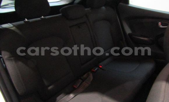 اشتري مستعمل Hyundai ix35 Other سيارة في Maseru في Maseru اشتري مستعمل Hyundai ix35 Other سيارة في Maseru في Maseru