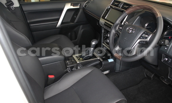 Buy Used Toyota Prado White Car in Mohale's Hoek in Mohale's Hoek Buy Used Toyota Prado White Car in Mohale's Hoek in Mohale's Hoek