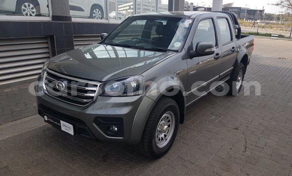 Sayi Na hannu GMC Savana Silver Mota in Maseru a Maseru