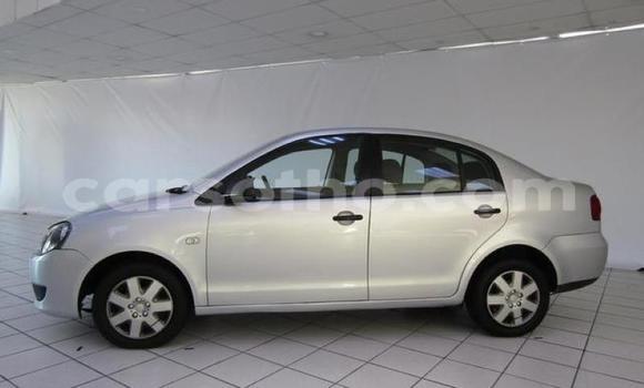 Buy Used Volkswagen Polo Silver Car in Maseru in Maseru Buy Used Volkswagen Polo Silver Car in Maseru in Maseru