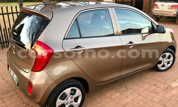 Acheter Occasion Voiture Kia Picanto Autre à Maputsoa, Leribe Acheter Occasion Voiture Kia Picanto Autre à Maputsoa, Leribe
