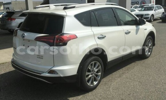 اشتري مستعمل Toyota RAV4 White سيارة في Butha–Buthe في Thaba-Tseka اشتري مستعمل Toyota RAV4 White سيارة في Butha–Buthe في Thaba-Tseka