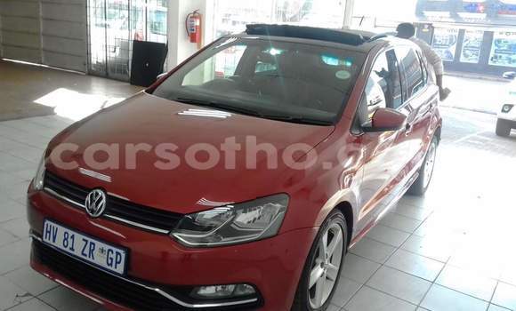 Acheter Occasion Voiture Volkswagen Polo Rouge à Butha Buthe, Butha-Buthe Acheter Occasion Voiture Volkswagen Polo Rouge à Butha Buthe, Butha-Buthe