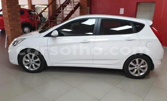 Buy Used Hyundai Accent White Car in Maputsoa in Leribe Buy Used Hyundai Accent White Car in Maputsoa in Leribe