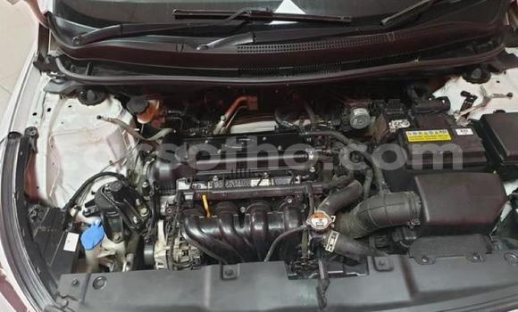 Buy Used Hyundai Accent White Car in Maputsoa in Leribe Buy Used Hyundai Accent White Car in Maputsoa in Leribe