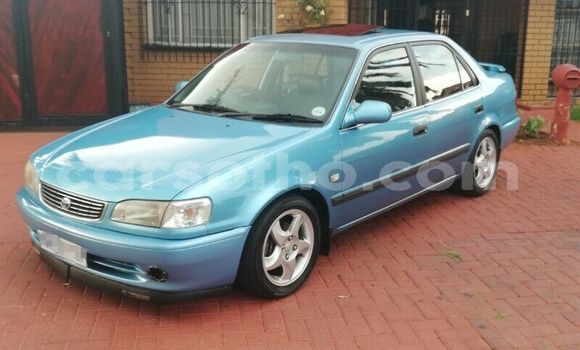 Buy Used Toyota Corolla Blue Car in Maseru in Maseru Buy Used Toyota Corolla Blue Car in Maseru in Maseru