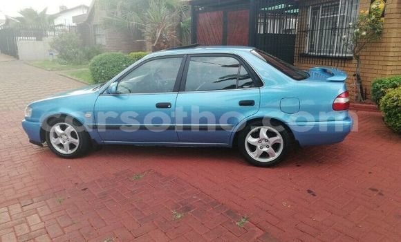 Buy Used Toyota Corolla Blue Car in Maseru in Maseru Buy Used Toyota Corolla Blue Car in Maseru in Maseru