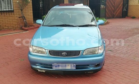 Buy Used Toyota Corolla Blue Car in Maseru in Maseru Buy Used Toyota Corolla Blue Car in Maseru in Maseru