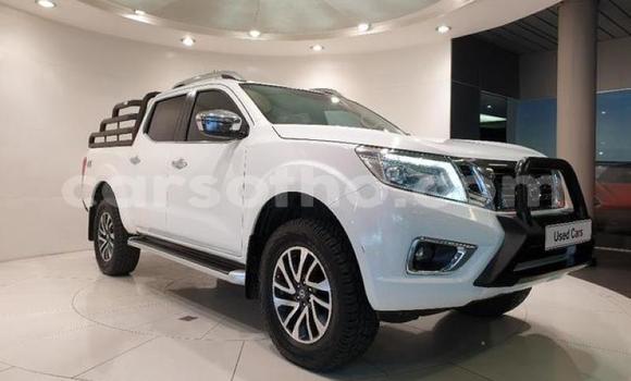 Buy Used Nissan Navara Silver Car in Quthing in Butha-Buthe Buy Used Nissan Navara Silver Car in Quthing in Butha-Buthe