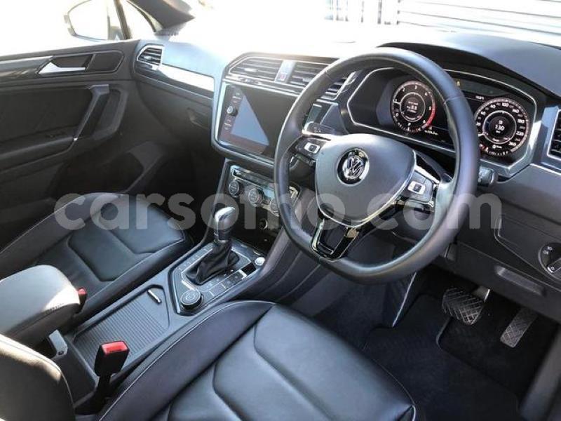 Big with watermark v4