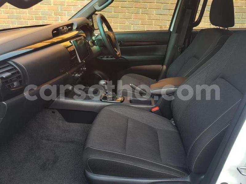 Big with watermark t8