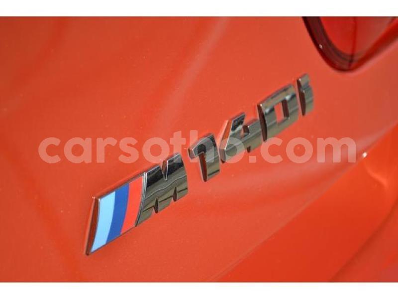 Big with watermark n6