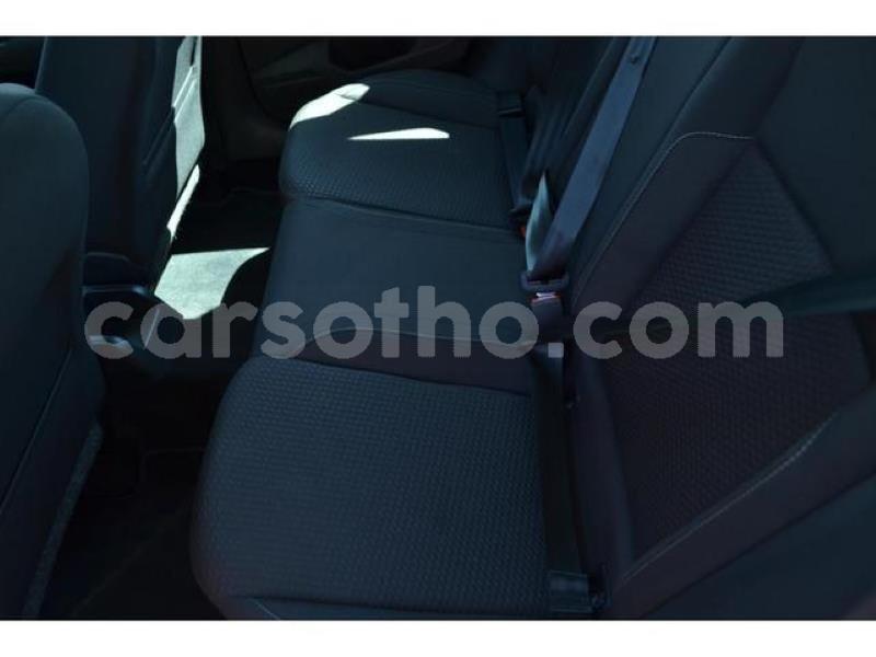 Big with watermark x11