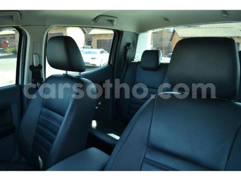 Big with watermark o11