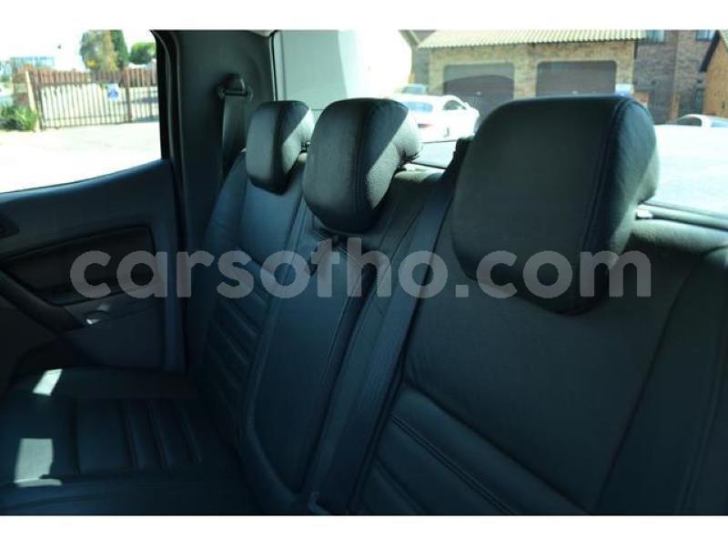 Big with watermark o13