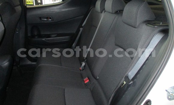 Buy Used Toyota C-HR White Car in Mohale's Hoek in Mohale's Hoek Buy Used Toyota C-HR White Car in Mohale's Hoek in Mohale's Hoek