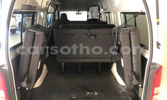 اشتري مستعمل Toyota Hiace White سيارة في Hlotse في Leribe اشتري مستعمل Toyota Hiace White سيارة في Hlotse في Leribe