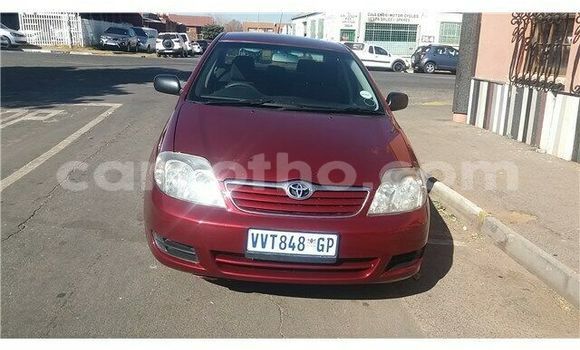Sayi Na hannu Toyota Corolla Red Mota in Maputsoa a Leribe Sayi Na hannu Toyota Corolla Red Mota in Maputsoa a Leribe