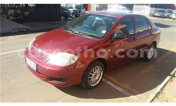 Sayi Na hannu Toyota Corolla Red Mota in Maputsoa a Leribe Sayi Na hannu Toyota Corolla Red Mota in Maputsoa a Leribe