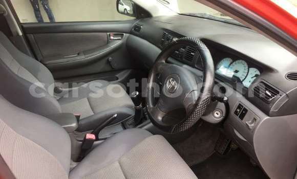 Acheter Occasion Voiture Toyota Corolla Rouge à Maputsoe, Leribe Acheter Occasion Voiture Toyota Corolla Rouge à Maputsoe, Leribe