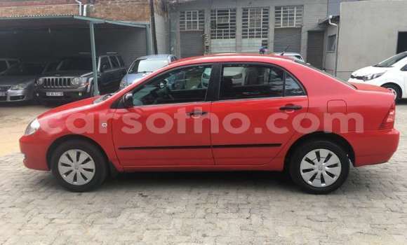 Acheter Occasion Voiture Toyota Corolla Rouge à Maputsoe, Leribe Acheter Occasion Voiture Toyota Corolla Rouge à Maputsoe, Leribe