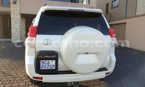 Buy Used Toyota Land Cruiser Prado White Car in Maseru in Maseru Buy Used Toyota Land Cruiser Prado White Car in Maseru in Maseru