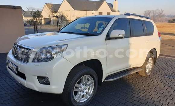 Buy Used Toyota Land Cruiser Prado White Car in Maseru in Maseru Buy Used Toyota Land Cruiser Prado White Car in Maseru in Maseru