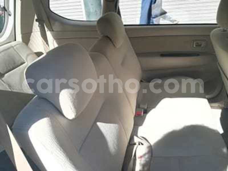 Big with watermark 3545794 8