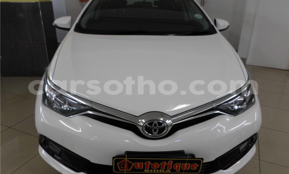 Acheter Occasion Voiture Toyota Auris Blanc à Maputsoa, Leribe Acheter Occasion Voiture Toyota Auris Blanc à Maputsoa, Leribe